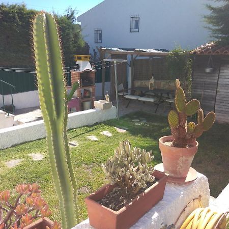 Casa Dos Cedros Konuk evi Setúbal Dış mekan fotoğraf