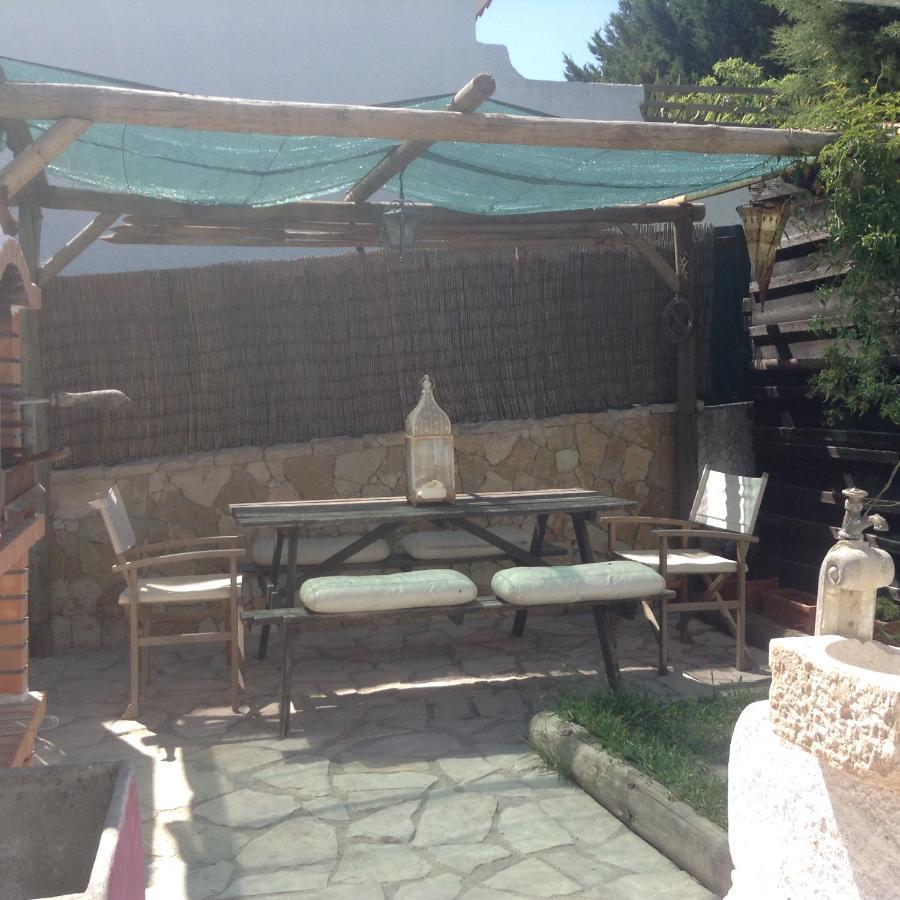 Casa Dos Cedros Konuk evi Setúbal Dış mekan fotoğraf