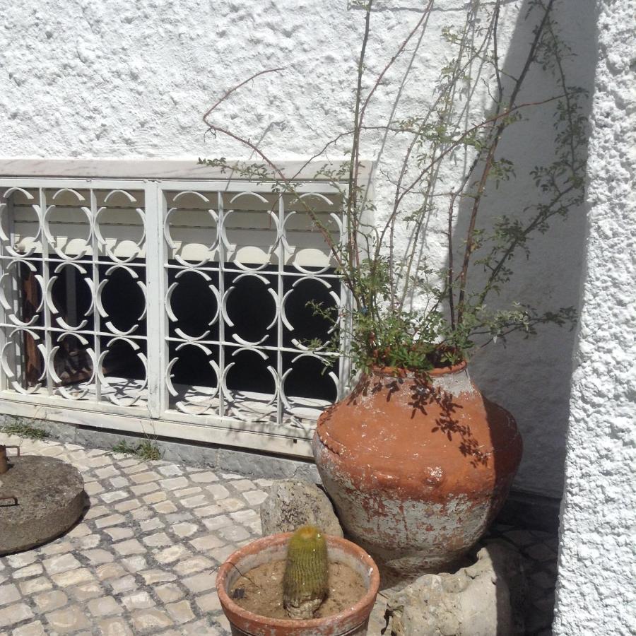 Casa Dos Cedros Konuk evi Setúbal Dış mekan fotoğraf